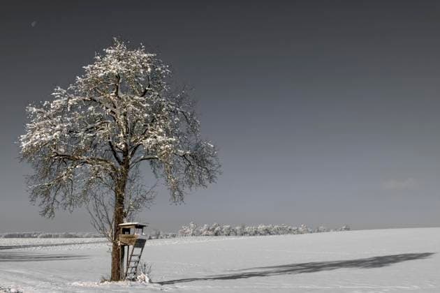 Einsamer Baum mit Ästen unter Schnee auf einem Feld unter Schnee, mit grauem Himmel und Jagdstation und ein Beobachtungsposten, Ingerkingen, Baden-Württemberg, Deutschland, Europa *** Lonely Tree with Branches at Snow at a Field at Snow, with grey Sky and Hunting station and a Observation post, Ingerkingen, Bathing Württemberg, Germany, Europe Copyright: imageBROKER StanislavxBelicka ibxbsb09928005.jpg
