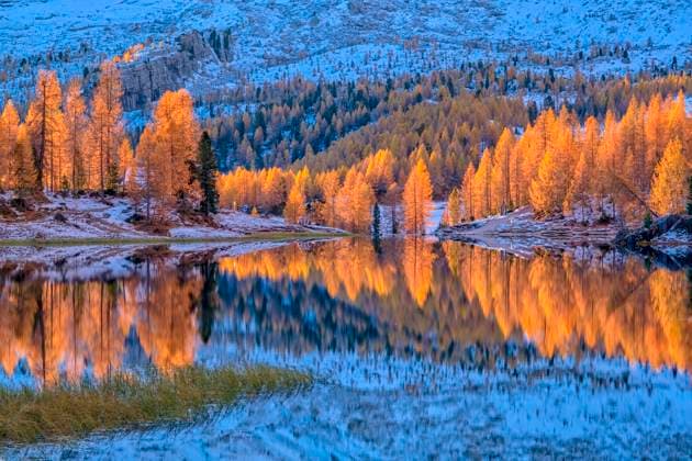 Creative Highlights World Autumn scenery on lake Lago Federa with yellow larches reflected in the water. Cortina d Ampezzo Veneto Italy FB_2023_3462