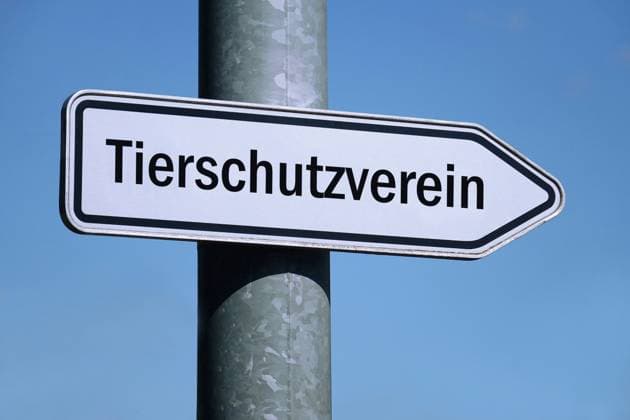 Wegweiser mit Tierschutzverein Wegweiser mit Tierschutzverein, 09.12.2023, Borkwalde, Brandenburg, Auf einem Wegweiser befindet sich der Schriftzug Tierschutzverein.