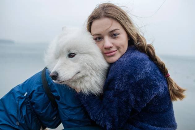 Creative Highlights Symbolbilder girl walks with a white fluffy Samoyed dog in nature Minsk, Minsk Region, Belarus CR_JNVYHK231209-1303135-01 ,model released, Symbolfoto