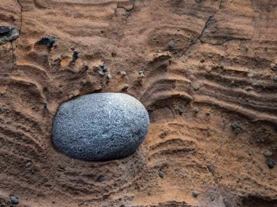 A pyroclastic bomb in the eruption tuff on Isabela Island, Galapagos Islands, UNESCO World Heritage Site, Ecuador, South America Copyright: MichaelxNolan 1112-8584