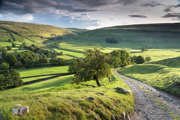 Arncliffe village surrounded by dry stone walls and green fields, Littondale, The Yorkshire Dales, Yorkshire, England, United Kingdom, Europe Copyright: JohnxPotter 1228-314
