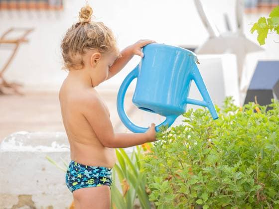 IMAGO Creative: Sommer, Sommertage im Garten MR_ID16681_15110_IzanQuilezMoreno.jpg Side view of shirtless little boy watering fresh green plants with can in garden during summer vacation Model Released PepeQuilez_ID16681_509008_051 Copyright: xPepexQuilezx