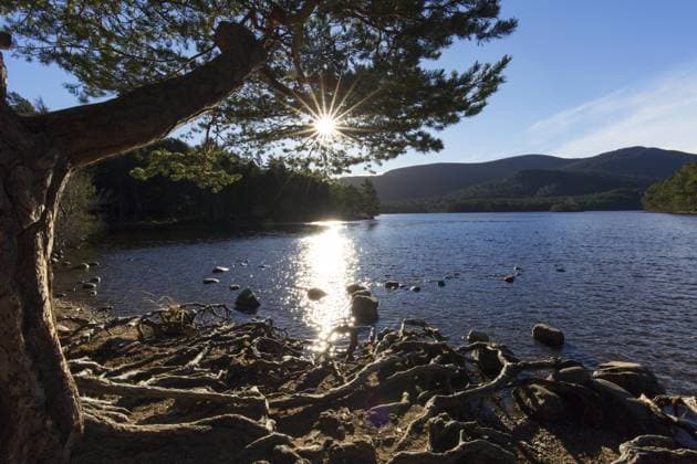 Loch an Eilein im Rothiemurchus Forest, Cairngorms National Park in der Nähe von Aviemore, Badenoch und Strathspey, Schottland, UK *** Hole to Fiddes eilein at Rothiemurchus Forest, Cairngorms National Park in the Proximity from Aviemore, badenoch and Strathspey, Scotland, UK Copyright: imageBROKER alimdix xArterrax xSven-ErikxArndt ibltsm09936679.jpg