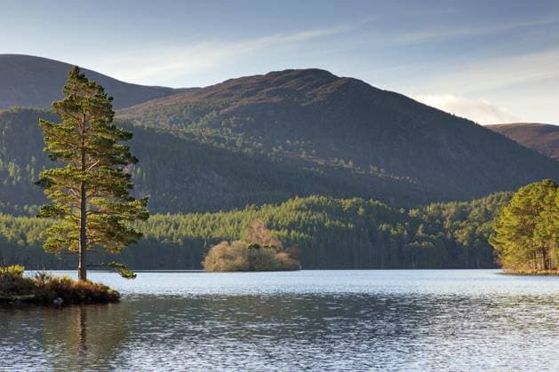 Loch an Eilein im Rothiemurchus Forest, Cairngorms National Park in der Nähe von Aviemore, Badenoch und Strathspey, Schottland, UK *** Hole to Fiddes eilein at Rothiemurchus Forest, Cairngorms National Park in the Proximity from Aviemore, badenoch and Strathspey, Scotland, UK Copyright: imageBROKER alimdix xArterrax xSven-ErikxArndt ibltsm09936680.jpg