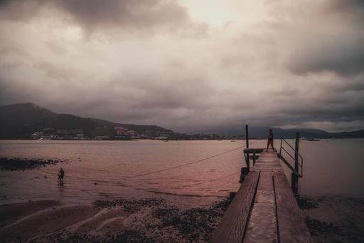 A wooden bridge on a beach surrounded by the sea and hills covered in greenery and fog 151176 ,model released, Symbolfoto RECORD DATE NOT STATED