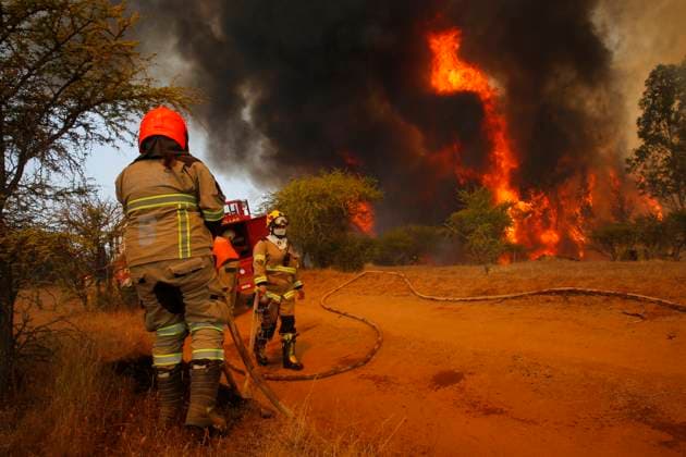 News Themen der Woche KW51 News Bilder des Tages Ninhue norte, 11 de Febrero 2023. Bomberos combaten Incendio forestal en Ninhue norte Marcelo Hernandez Aton Chile., Ninhue Chile Aton_859617 *** Ninhue north, February 11, 2023 Firefighters fight forest fire in Ninhue north Marcelo Hernandez Aton Chile , Ninhue Chile Aton 859617  Copyright: MARCELOxHERNANDEZ ATONxCHILE