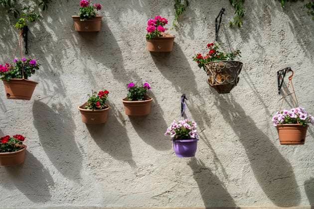 flower pots Luxembourg city, May 2022. flower pots hanging on the wall Copyright: xZoonar.com sergioxdellexvedovex 18713350