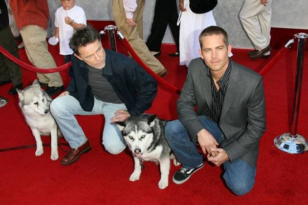 Walt Disney Pictures Eight Below Premiere 12 February 2006 - Hollywood, California - Bruce Greenwood and Paul Walker with canine stars Maya & Max . Walt Disney Pictures Eight Below Premiere held at El Capitan Theatre. Photo Credit: Zach Lipp AdMedia Hollywood California United States EDITORIAL USE ONLY  Copyright: xZachxLipp AdMediax ZachxLippx admphotos061488