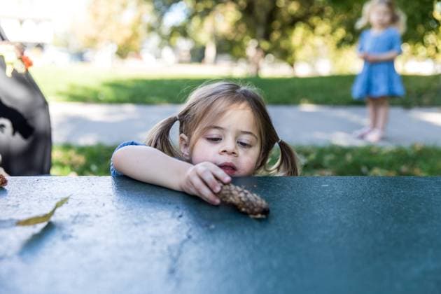 Creative Highlights Symbolbilder Young girl playing with pinecone on picnic table at park Denver, Colorado, United States R_APMS231219-1307363-01 ,model released, Symbolfoto