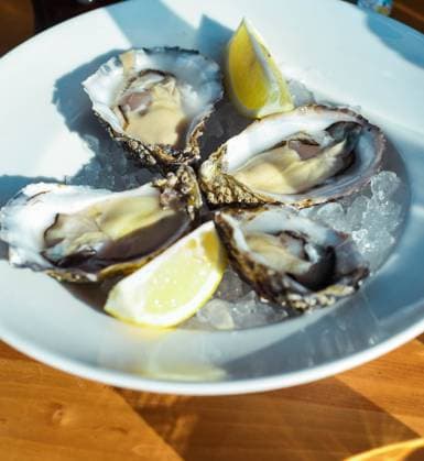 Gourmet dish of Mediterranean oysters Lloret de Mar, Catalonia, Spain R_QJZXDZ231219-1310461-01