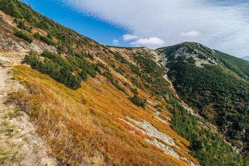 Autumn colorful view of Krkonose National Park and a ridge of Kozi hrbety. Giant mountains of Czech republic on a beatiful day. Hiking in Krkonose NP. 320769 RECORD DATE NOT STATED