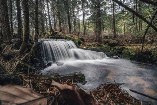 Long exposure photo of a stream or creek in an alaska like forest. Water fall or cascade on a small river in deep forest. Flowing water, motion blur. 368926 RECORD DATE NOT STATED