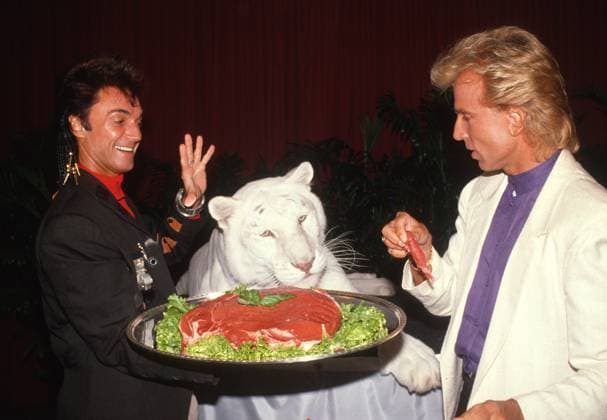 Siegfried and Roy 1987 Siegfried and Roy John Barrett PHOTOlink. EDITORIAL USE ONLY Copyright: xx PhotoxByxJohnxBarrett PHOTOlink.netx phlphotos416281