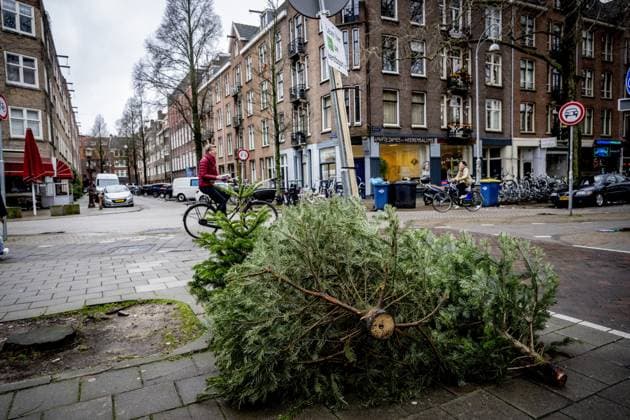 News Themen der Woche KW52 News Bilder des Tages AMSTERDAM - Christmas trees are at a Christmas tree collection point after the holidays. ANP ROBIN UTRECHT netherlands out - belgium out  Copyright: xx x487246025x originalFilename: 487246025.jpg
