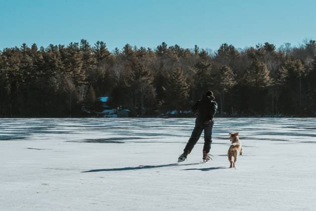 Teen boy skating across a frozen lake with his dog on winter day. Buck Lake, Ontario, Canada R_DOHO220210Q-919250-01 ,model released, Symbolfoto