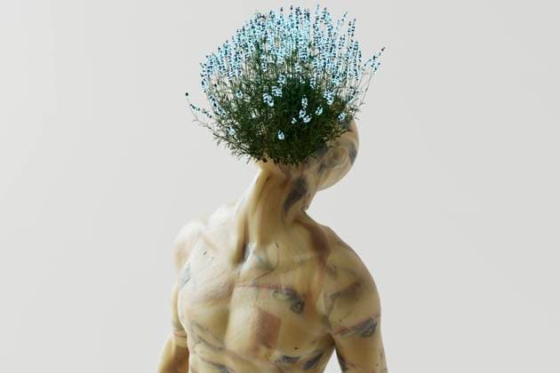 3D render of flowers growing on head of shirtless man, GCAF00508