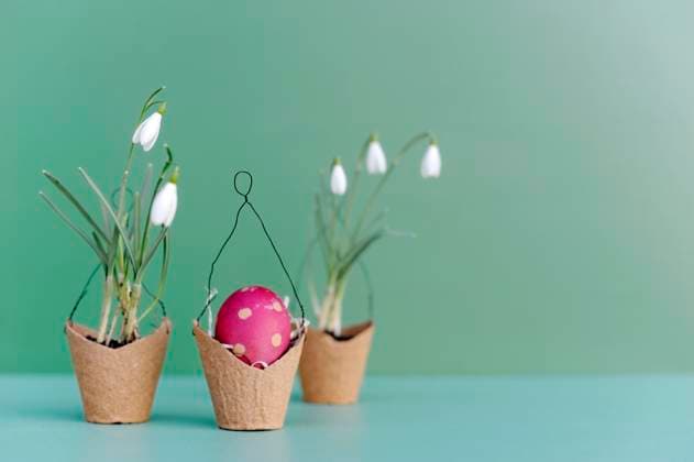 Studio shot of small baskets with blooming snowdrops and Easter egg, Hamburg Hamburg Deutschland Altes Land GISF01000