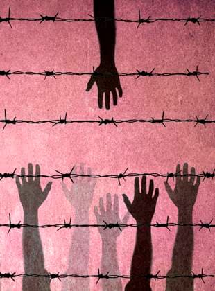 Hands of people reaching towards barbed wire, GWAF00404