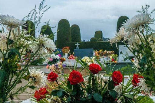 Rosas en primer plano, en el cementerio de Tulcan, Ecuador 562330