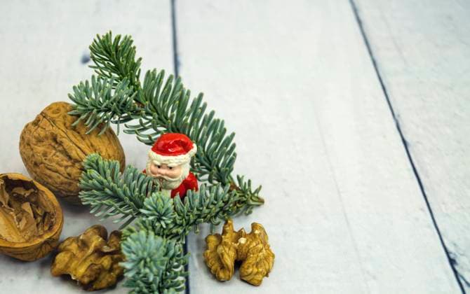 Walnuesse, Tannenzweig und Weihnachtsmannfigur, Symbolbild fuer Weihnachten walnuts, fir branch and Father Christmas figure, symbolic image for Christmas BLWS700513 *** Walnuts, Fir branch and Santa Claus figure, Symbol image for Christmas walnuts, fir Branch and Father Christmas figure, symbolic Image for Christmas BLWS700513 Copyright: xblickwinkel Steidix