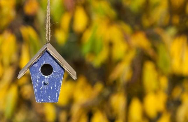 A bird house or bird box in Autumn or Fall sunshine with natural golden leaves background; einer Voegelchen Haus Oder Voegelchen Schachtel ÊIn Herbst Oder herabfallen Sonnenschein mit natürliche Goldene verlässt Hintergrund ING_18952_00912