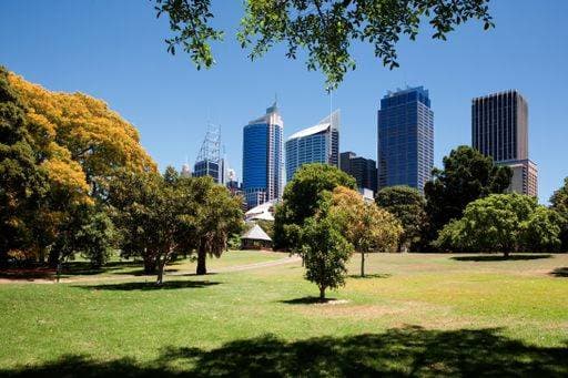 The Royal Botanic Gardens of Sydney, Australia and the central business district in the background against a blue sky 633289 RECORD DATE NOT STATED
