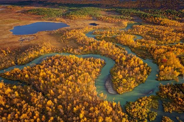 Drohnenbild, Ausblick auf das Tal Ladtjovagge und den Fluss Ladtjojakka, Mäander, Seen, dichter Birkenwald, Moore, extrem verfärbt, Herbststimmung, bei Nikkaluokta, Norrbottens län, Nord-Schweden, Schweden, Europa *** Drone image, Outlook at the Valley Ladtjovagge and the River Ladtjojakka, Meander, Lakes, Poet Birch forest, Moore, Extreme discolored, Autumn atmosphere, at Nikkaluokta, Norrbottens län, North Sweden, Sweden, Europe Copyright: imageBROKER/GerhardxKraus ibxgek09986463.jpg 