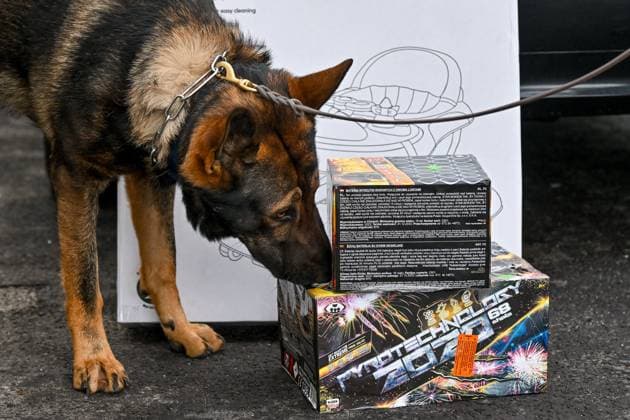 News Themen der Woche KW52 News Bilder des Tages Polizei, Kontrolle 30.12.2023, Weigetschlag Grenzuebergang, AUT, Polizei, Grenzkontrolle, im Bild Polizei, Kontrolle, Grenze, Grenzkontrolle, Grenzuebergang, Oesterreich, Tschechien, Fuehrerschein, Zulassungsschein, Reisepass, Ausweis, Papiere, Sprengstoffsuchhund, Feuerwerk, Raketen, Boeller, Kracher, Zoll, Beschlagnahmung, Weigetschlag Oberoesterreich *** Police, control 30 12 2023, Weigetschlag border crossing, AUT, police, border control, in the picture police, control, border, border control, border crossing, Austria, Czech Republic, drivers license, registration certificate, passport, identity card, papers, explosives search dog, fireworks, rockets, boeller, firecrackers, customs, confiscation, Weigetschlag Upper Austria Polizei, Kontrolle, Grenze, 30.12.2023-27