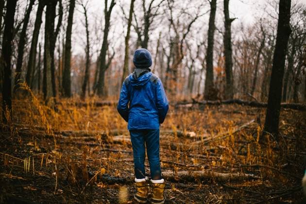 Tween boy stands in rain sodden forest in fall colors Nashville, Tennessee, United States CR_WVNP231227J-1301924-01 ,model released, Symbolfoto