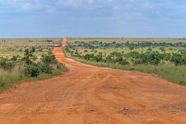 Linden Lethem Piste, rote Erdstraße, die Lethem und Georgetown durch die Savanne verbindet, Guyana, Südamerika *** Linden Lethem Piste, red Earth road, the Lethem and Georgetown through the Savannah connects, Guyana, South America Copyright: imageBROKER/alimdix/xArterrax/xMaricaxvanxderxMeer ibltsm09997468.jpg 