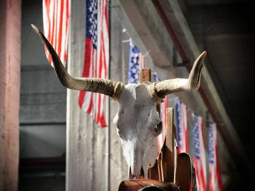 A closeup shot of a western bull longhorn skull on USA flags background 1134536 RECORD DATE NOT STATED