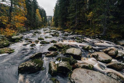 An autumn view of a river in an Alaska like forest. Wild creek or river in the middle of autumn forest. Mountain stream with cascades and waterfalls. 1156613 RECORD DATE NOT STATED