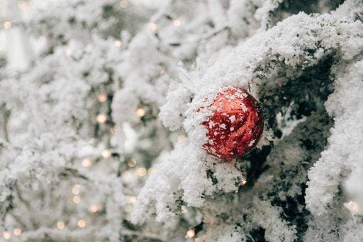 A closeup of a red ornament on a Christmas tree covered in snow 1203115 ,model released, Symbolfoto RECORD DATE NOT STATED
