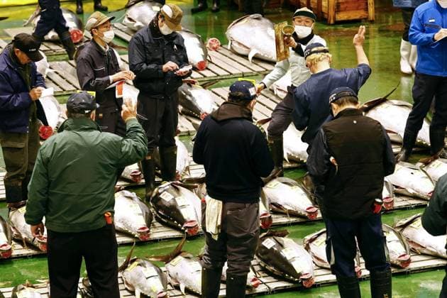 News Themen der Woche KW01 New Year tuna auction in Tokyo A New Year s tuna auction is held at Tokyo s Toyosu fish market on Jan. 5, 2024.  A14AA0002294238P