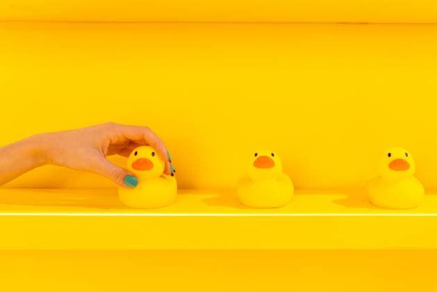 Creative Highlights Symbolbilder Anonymous hand adjusting a rubber duck on a shelf in a vibrant yellow room Model Released GemaAlejo_ID18375_548737_013 Copyright: xGemaxAlejox