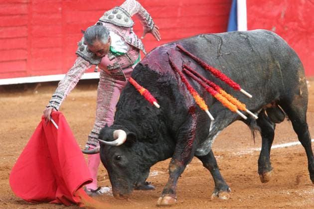 D05051610.JPG CIUDAD DE MEXICO.- Bullfight Toros-Pana.- El doctor Jorge Galvan afirmo este jueves que Rodolfo Rodriguez Â El PanaÂ vive una situacion muy complicada ya que se encuentra sin movilidad en brazos y piernas. El diestro de Apizaco sufrio el percance el pasado domingo en Lerdo, Durango, cuando se presentaba para enfrentar su segundo toro de la tarde. Foto: Archivo Agencia EL UNIVERSAL RCC Mo xico EDITORIAL USE ONLY  Copyright: xGDA ElxUniversal Mo xicox-xTodosxlosxderechosxreservados.xProhibidoxelxusoxoxreproducci&oacute;nxdexestaximagenxenxMo xicox GDA ElxUniversal MÃ xicox mxeluniversalpic269111