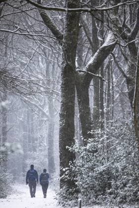 VIJLEN - South Limburg is covered by a thin layer of snow. It s wintery weather. ANP MARCEL VAN HOORN netherlands out - belgium out  Copyright: xx x487975862x originalFilename: 487975862.jpg