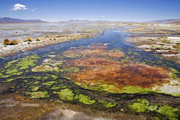 Creative Highlights World Algenreiche heiße Quellen fließen auf dem Altiplano von Bolivien ab *** Algae-rich hot Sources flow at the Altiplano from Bolivia from Copyright: imageBROKER/alimdix/xArterrax/xMaricaxvanxderxMeer ibltsm10003917.jpg