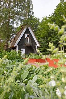 Kräutergarten im Sofiero Palace & Gardens, Helsingborg, Provinz Skane län, Schweden, Europa *** Herb garden at Sofiero Palace Gardens, Helsingborg, Province Skane län, Sweden, Europe Copyright: imageBROKER MartinaxKatz ibxcxb10022540.jpg