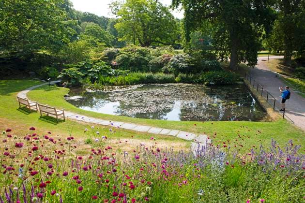 Sofiero Palace & Gardens, Helsingborg, Provinz Skane län, Schweden, Europa *** Sofiero Palace Gardens, Helsingborg, Province Skane län, Sweden, Europe Copyright: imageBROKER MartinaxKatz ibxcxb10022542.jpg