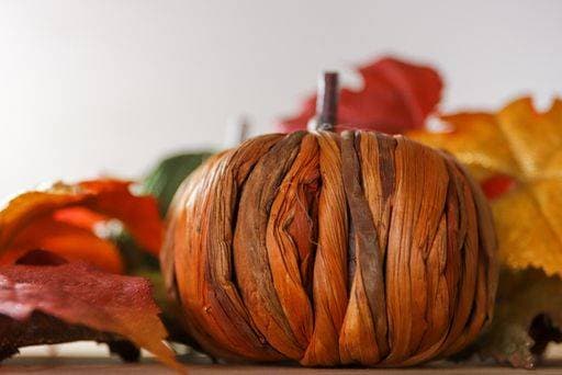 A closeup shot of a pumpkindiy 1708625 RECORD DATE NOT STATED