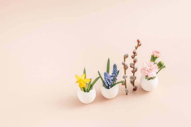 Happy Easter card. Still life with eggs, willow, flowers. Minimal New York, New York, United States CR_UUAB240105-1301806-01