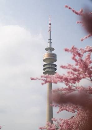 IMAGO Creative, Lifestyle, Frühling in der Stadt This is the tower of Munich in Germany during spring time with cherry blossoms. This shot was done in the olympic park today April 2, 2021. 1945182 RECORD DATE NOT STATED