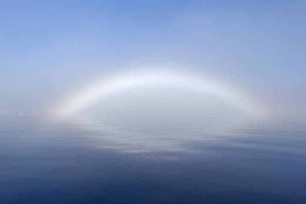 Nebelbogen, Nebelbogen, weißer Regenbogen, Seehund über dem Eismeer bei Svalbard, Norwegen, Europa *** Fog bow, Fog bow, White Rainbow, Seal via the Arctic Ocean at Svalbard, Norway, Europe Copyright: imageBROKER alimdix xArterrax xSven-ErikxArndt ibltsm10029492.jpg