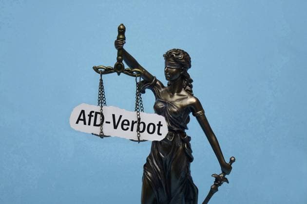 Justitia und Schriftzug AfD-Verbot Justitia und Schriftzug AfD-Verbot, 13.01.2024, Borkwalde, Brandenburg, Das Modell der Justitia trägt den Schriftzug AfD-Verbot. *** Justitia and lettering AfD ban Justitia and lettering AfD ban, 13 01 2024, Borkwalde, Brandenburg, The model of Justitia bears the lettering AfD ban