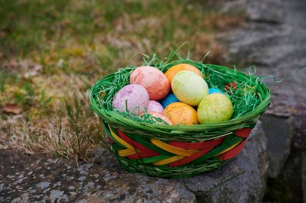 Osterbrauch, Dekoration, gefärbte Eier in verschiedenen Farben liegen im Osternest draußen im Garten Osterbrauch *** Easter custom, decoration, dyed eggs in different colors lie in the Easter nest outside in the garden Easter custom
