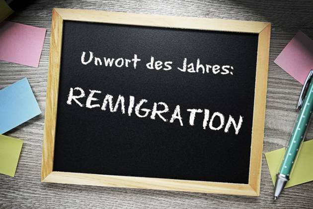 FOTOMONTAGE, Buchstaben bilden den Schriftzug Unwort des Jahres Remigration auf einer Tafel, Unwort des Jahres 2023 *** PHOTOMONTAGE, letters form the lettering Unword of the Year Remigration on a board, Unword of the Year 2023 ** NUR FUER REDAKTIONELLE ZWECKE ** EDITORIAL USE ONLY **