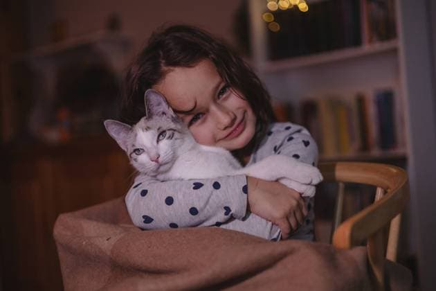 Creative Highlights Symbolbilder Little girl with cat. beautiful domestic cat with bright eyes. Mainz, Rhineland-Palatinate, Germany R_ZQTX240110-1318680-01 ,model released, Symbolfoto