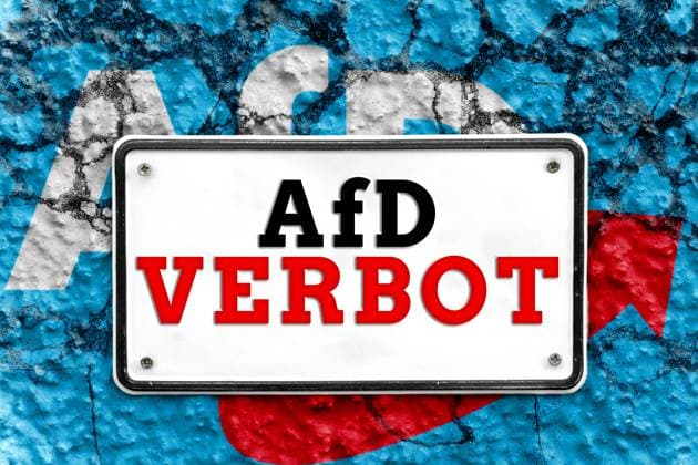 January 14, 2024: Sign on a broken wall with AfD Alternative for Germany logo with the inscription AfD Verbot FOTOMONTAGE *** Schild an einer zerbrochenen Wand mit AfD Alternative für Deutschland Logo mit der Aufschrift AfD Verbot FOTOMONTAGE